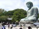 Nhật bản: Trùng tu pho tượng Đại Phật tại chùa Kotukuin