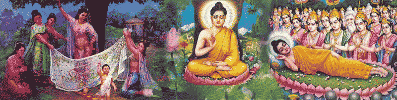 test đăng bài