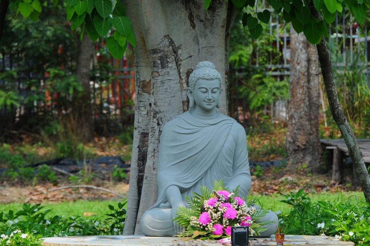 Kinh giáo giới Channa