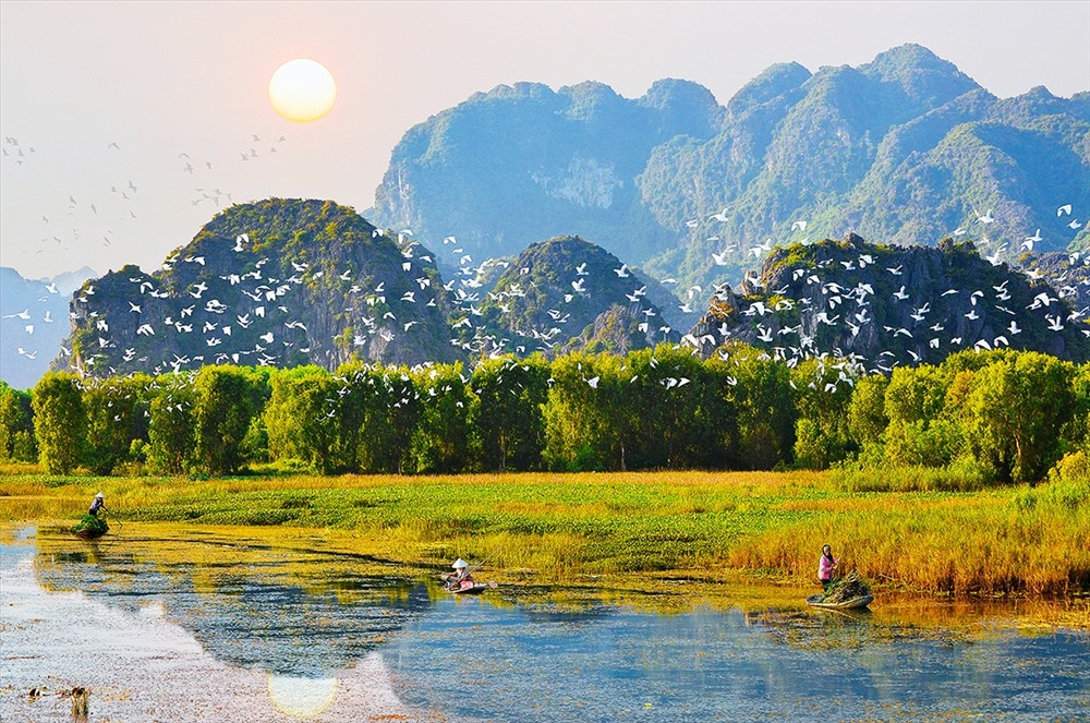 CON MUỐN VỀ QUÊ NỘI, NỘI ƠI...