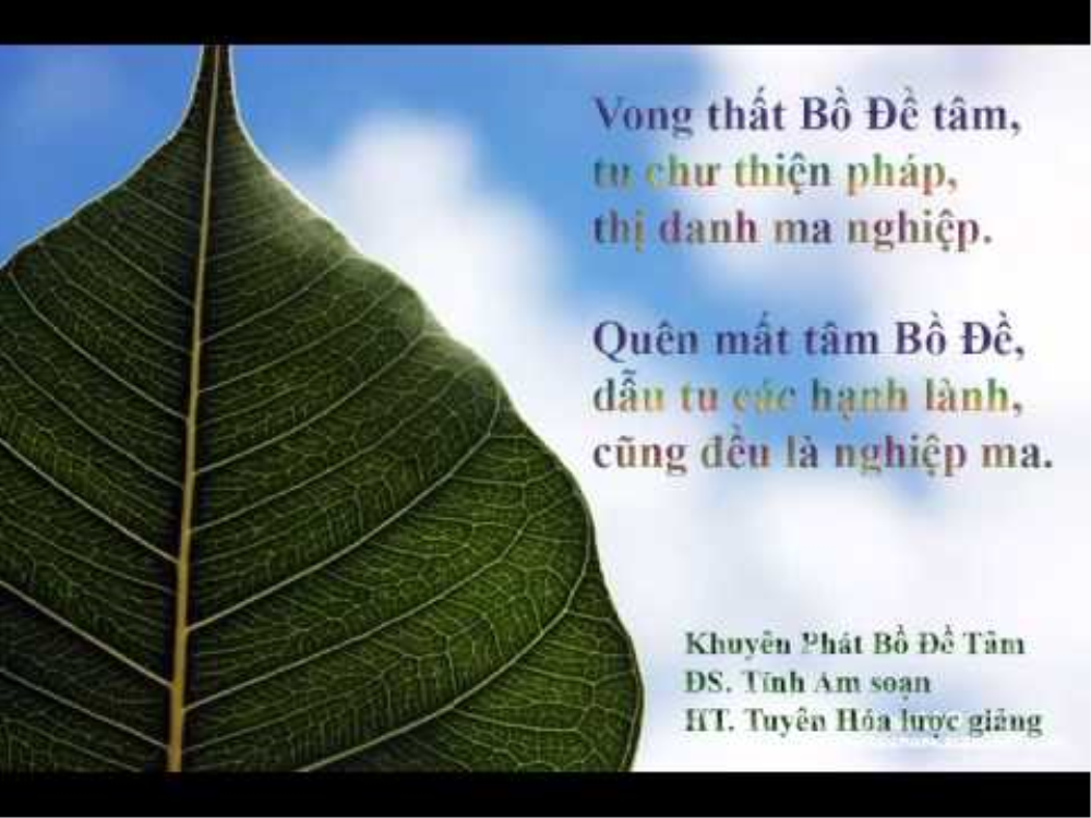 PHẬT HỌC CĂN BẢN "BỒ ĐỀ TÂM"