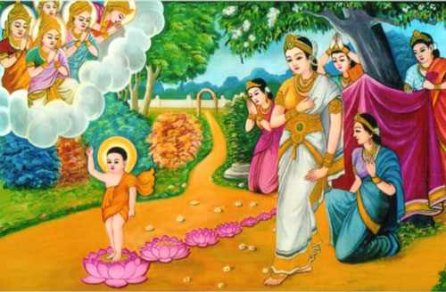 Ý NGHĨA GIẢI THOÁT TRONG  BẨY BƯỚC HOA SEN