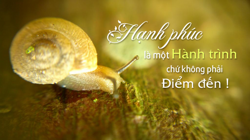 Đi tìm hạnh phúc