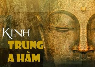 Kinh Ưu Ba Ly