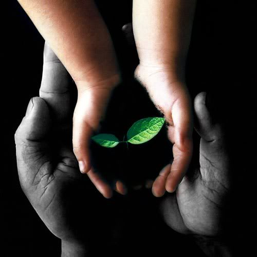 Đừng bao giờ ném giá trị của bản thân xuống đất