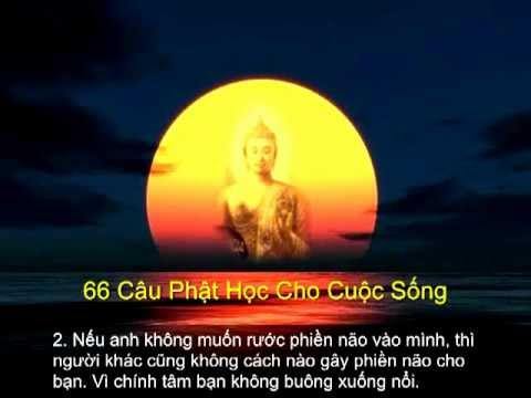 66 Câu Phật Học