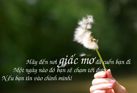 Hãy sống cho hết mình vì cuộc đời này rất mong manh