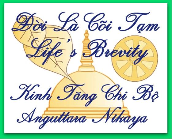 Đời là cõi tạm (Kinh Tăng Chi Bộ)