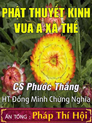 Kinh Vua A Xà Thế - Quyển Hạ
