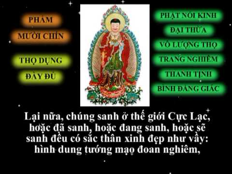 VÔ LƯỢNG THỌ TRANG NGHIÊM THANH TỊNH BÌNH ĐẲNG GIÁC KINH