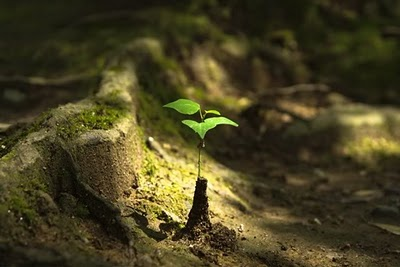 10 NGUYÊN NHÂN CỦA HỐI TIẾC
