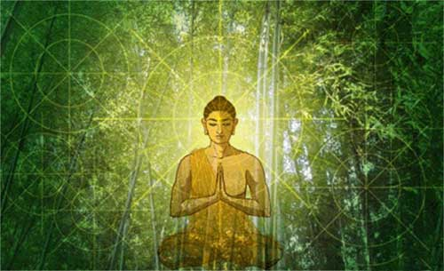 Thiền quán giữa đời thiền