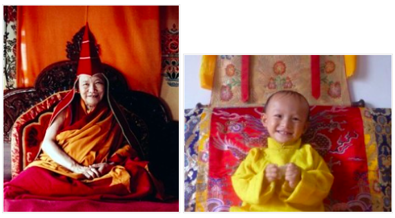 Hóa thân Lạt ma Trulshik Rinpoche được công nhận