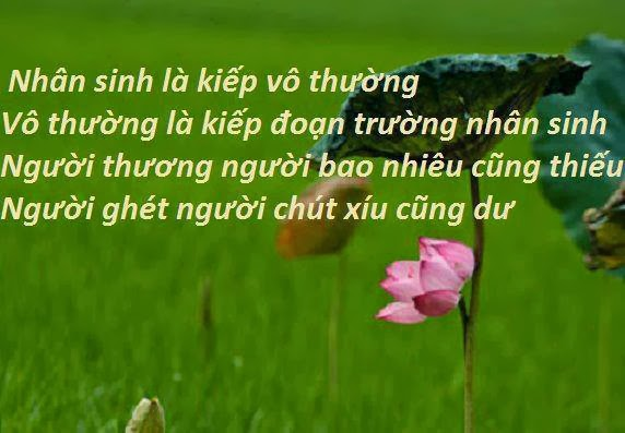 Thơ; Vô Thường