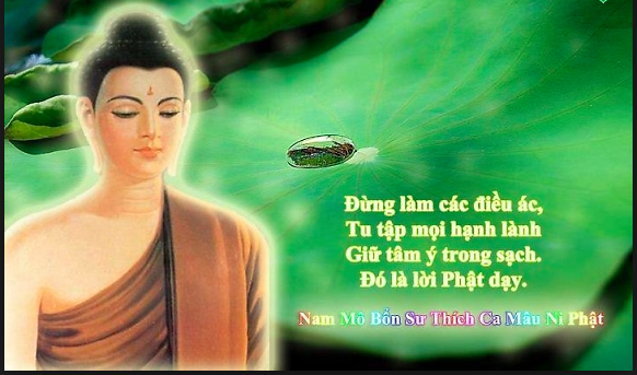 Hiệu ứng tu hành