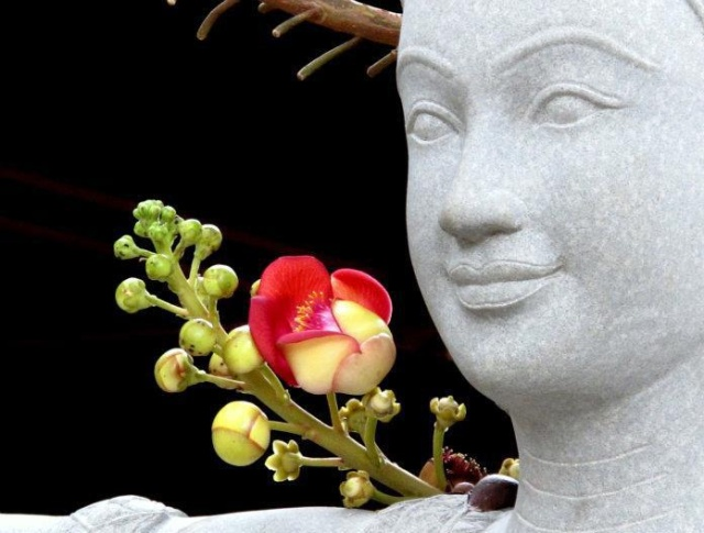 Duy thức tam thập tụng - Hòa Thượng Thích Thuyền Ấn