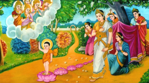 Những Con Số Bảy Trong Kinh Tạng Pali