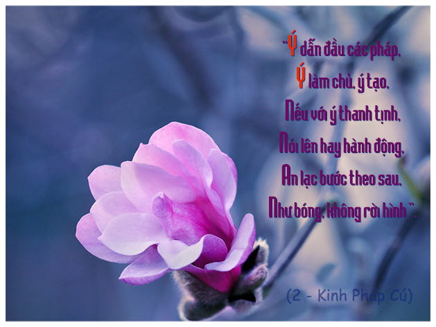Kinh Ví Dụ Tấm Vải