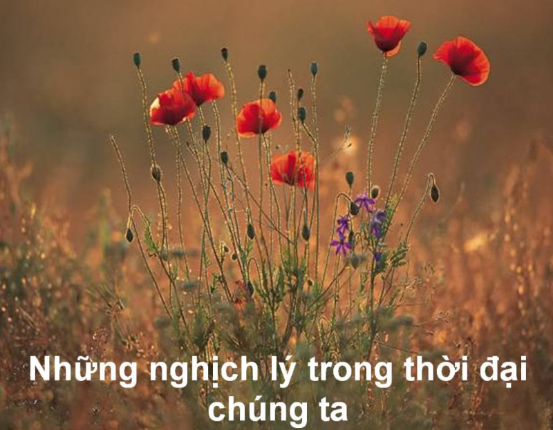 Nghịch lý