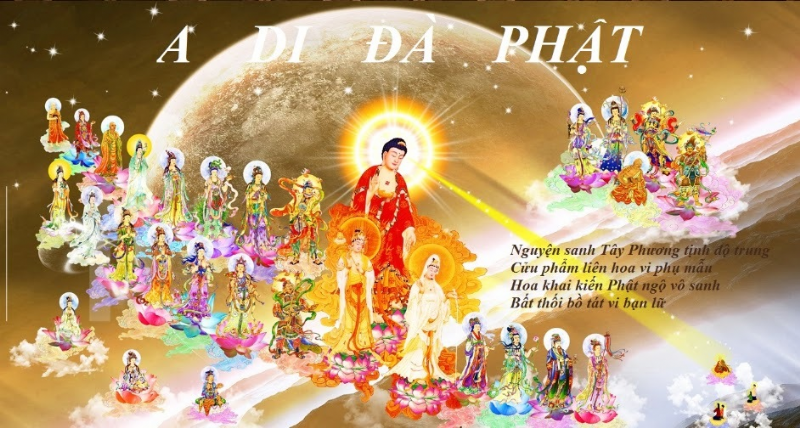 Tịnh Độ qua lăng kính Duy Thức Học