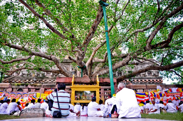 Đôi nét về Bồ đề Đạo tràng