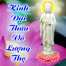 Đại Thừa Vô Lượng Thọ Kinh