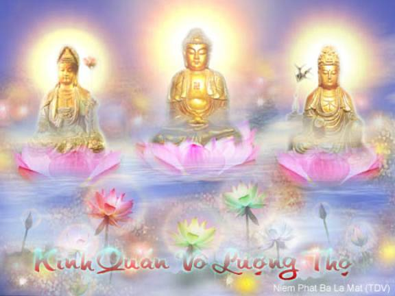 NGUỒN GỐC VĂN BẢN CỦA KINH QUÁN VÔ LƯỢNG THỌ
