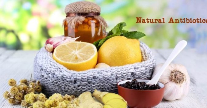 10 loại kháng sinh tự nhiên dễ tìm, không lo đề kháng, thậm chí tốt hơn thuốc tây