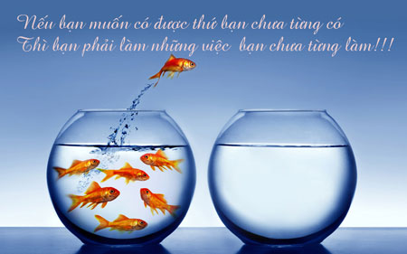 15 điều bạn cần làm để có một cuộc sống không hối tiếc