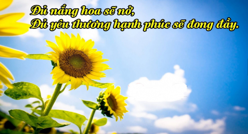 5 Cách Để Duy Trì Hạnh Phúc