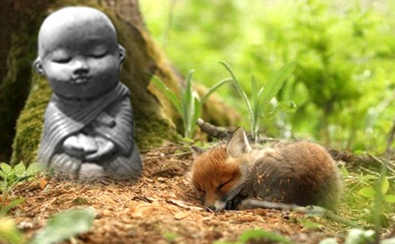 6 Câu Nói Nên Ghi Nhớ Để An Nhiên Mỗi Ngày