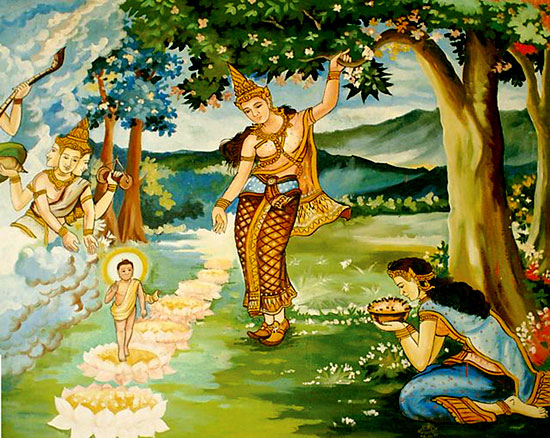 7 đặc điểm thuần khiết của loài hoa nâng bàn chân Phật' mà ít ai biết đến