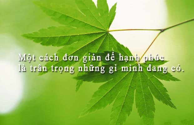 8 lời khuyên cho cuộc sống hạnh phúc