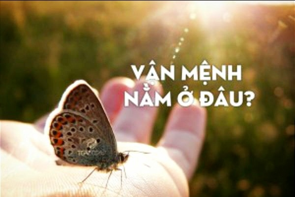 9 cách để thay đổi vận mệnh, hưởng bình an và hạnh phúc mỗi ngày