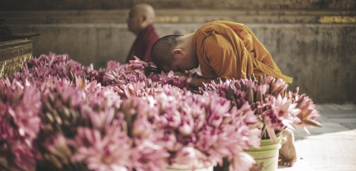Ấn Độ: Liên Hoan Tất Đạt Đa