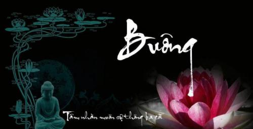 Buông Bỏ Là Một Loại Trí Tuệ