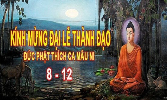 Cảm niệm ngày Phật thành đạo