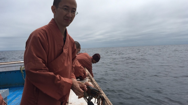 Canada: Nhà sư mua gần 300 kg tôm hùm để phóng sinh