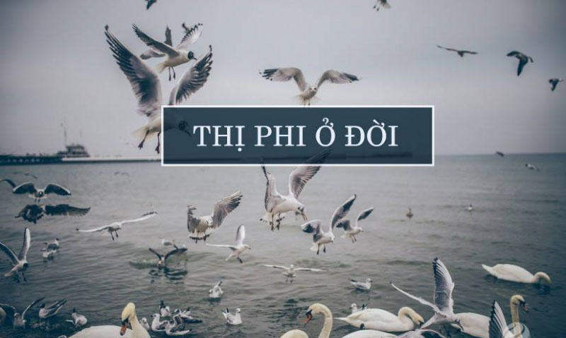 Chuyện thị phi
