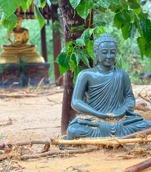 CÓ LẼ VẬY