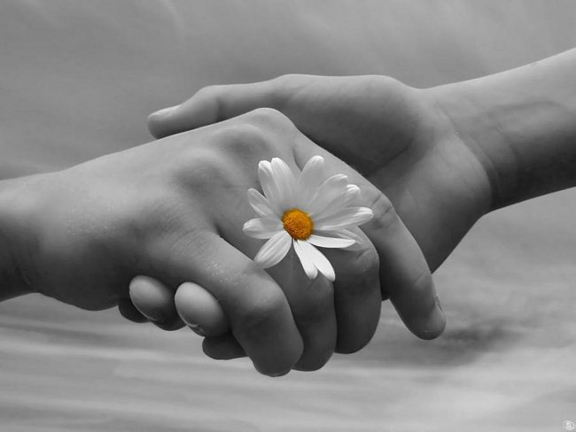 Có những thứ ‘cho đi’ không mong đền đáp