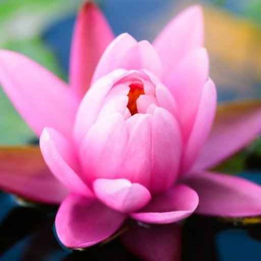 CON ĐƯỜNG HẦM