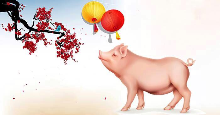 Con heo cầm tinh, con heo nghiệp báo, và con heo nghĩa tình
