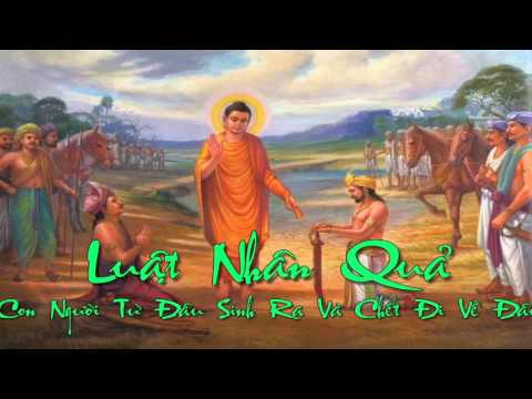 Con người sinh ra từ đâu