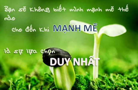 Cuộc Sống Chỉ Một Lần, Đau Đớn Cứ Từ Bỏ, Mệt Mỏi Hãy Nghỉ Ngơi…