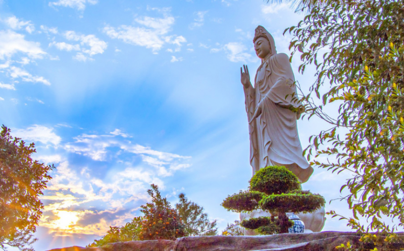 Cứu khổ cho vui