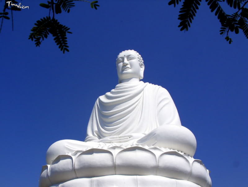Đặc điểm của Đạo Phật