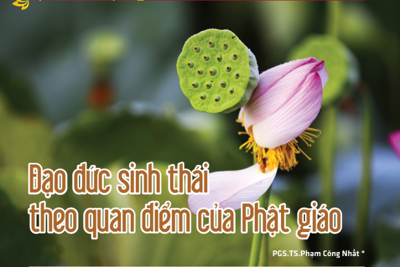 Đạo đức sinh thái theo quan điểm của Phật giáo