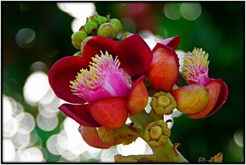 DẠY ĐIỀU TỐI CAO