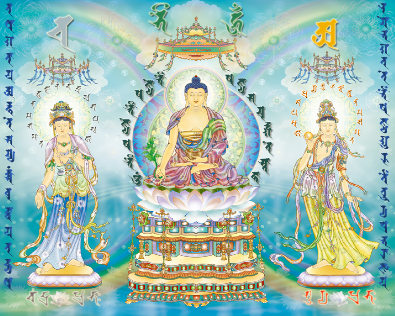 Đi Vào Bản Nguyện Dược Sư
